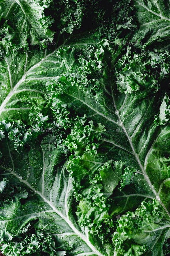 Harvest Bounty: Garden-Fresh Veggie Selection
